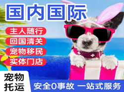 巴马机场快运国际宠物托运 【国